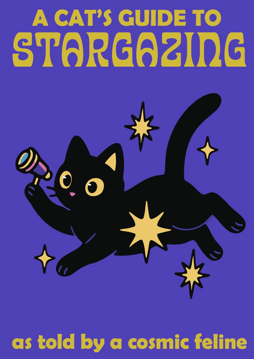 Cat Stargazing zine by Mansi Gupta