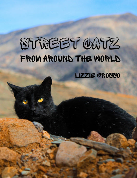 Street Catz by Lizzie Grosso